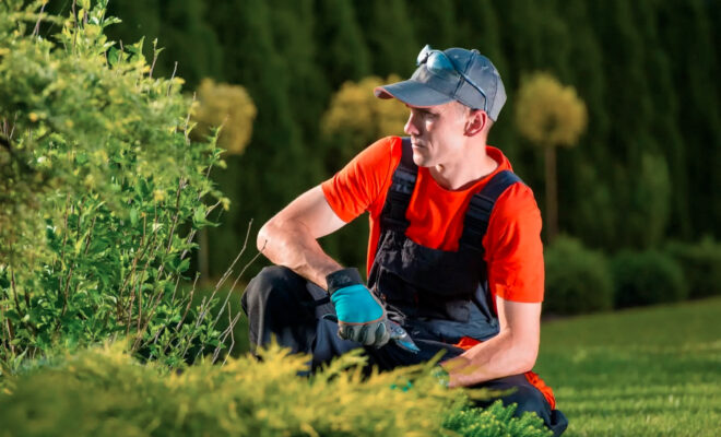 Une entreprise familiale au service de votre jardin depuis 2005